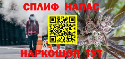 PSILOCYBIN Бугуруслан