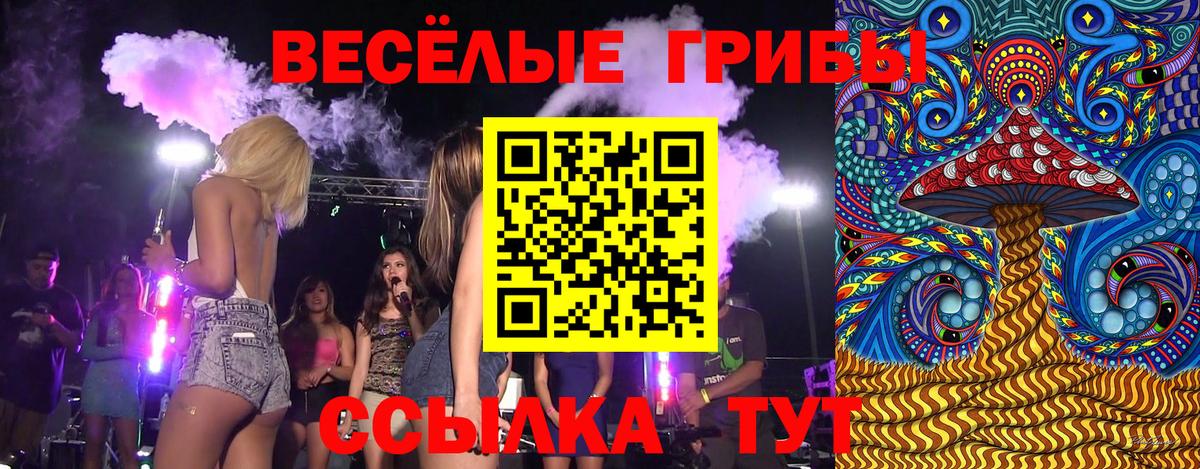 Псилоцибиновые грибы мицелий Реж