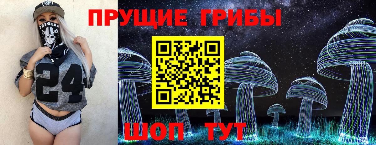 где найти наркотики  Вход с VPN  Реж  Галлюциногенные грибы GOLDEN TEACHER  Псилоцибиновые грибы Psilocybe 